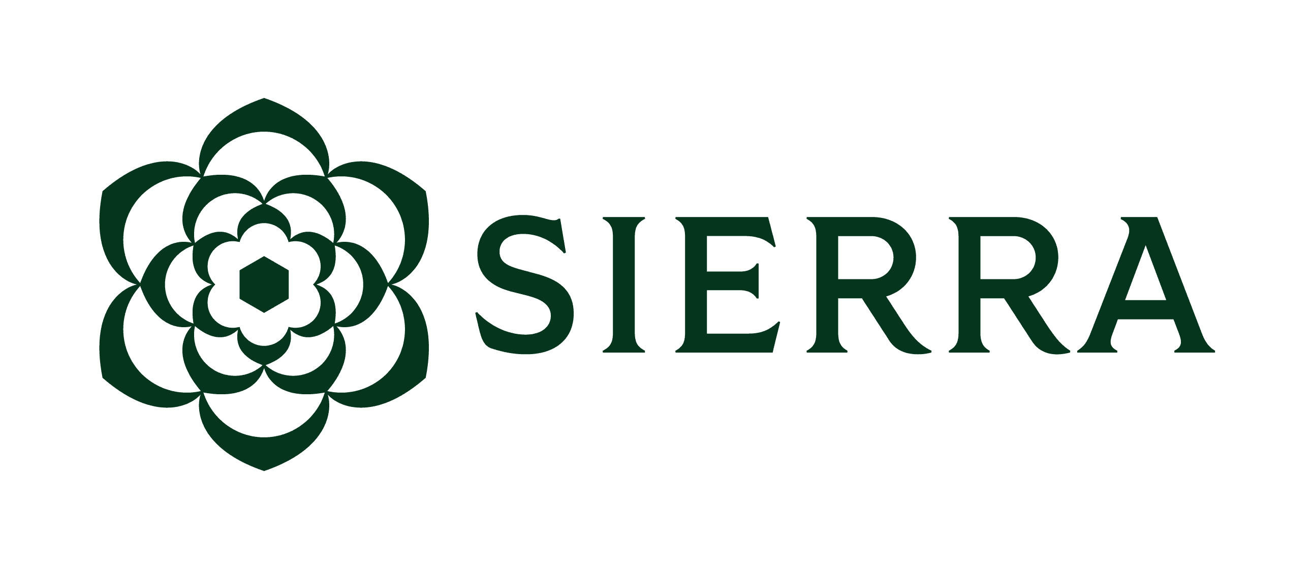 Sierra AI logo